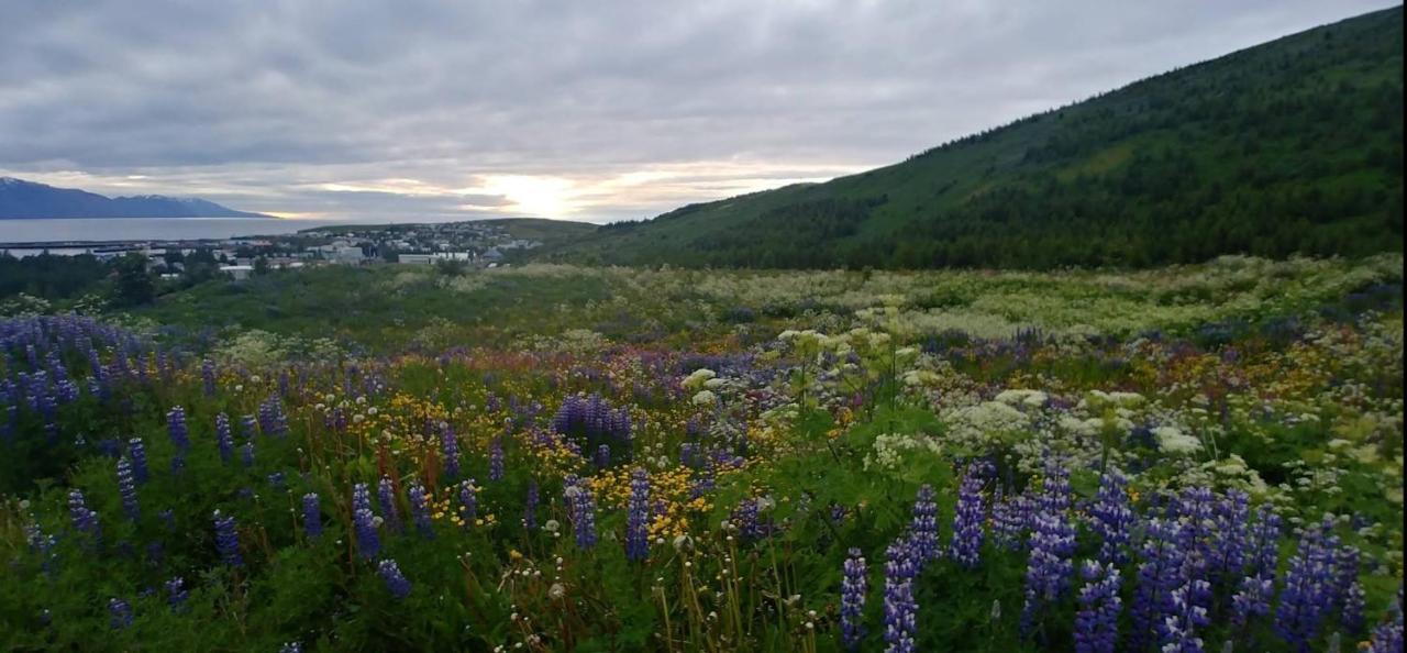 B&B Rooms Husavik 3 Экстерьер фото