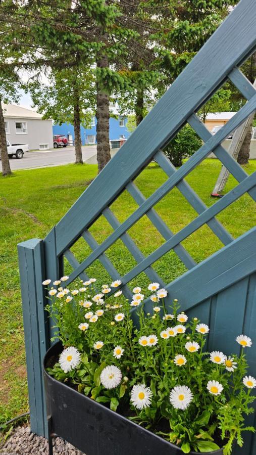 B&B Rooms Husavik 3 Экстерьер фото
